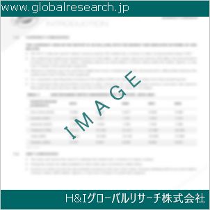 グローバルリサーチ調査資料のイメージ